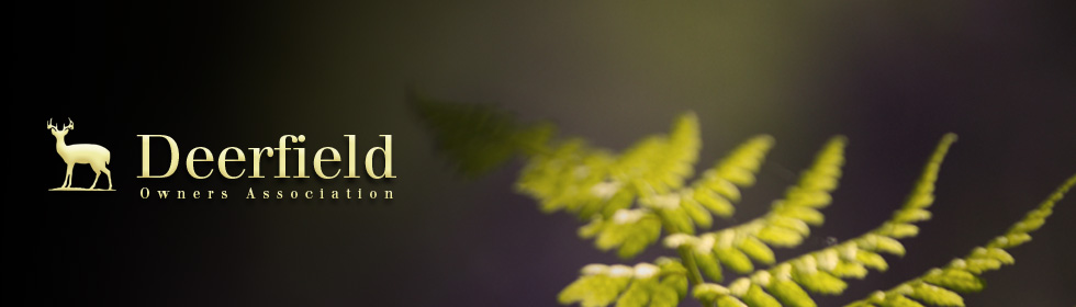 http://www.neighborhoodnews.com/deerfield/df_uploads/header/df_header1.jpg