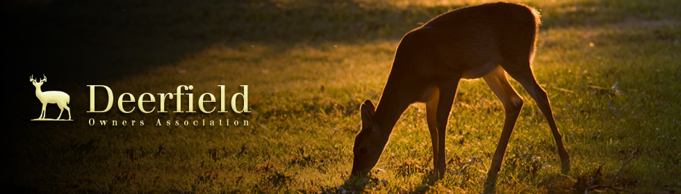 http://www.neighborhoodnews.com/deerfield/df_uploads/header/df_header2.jpg