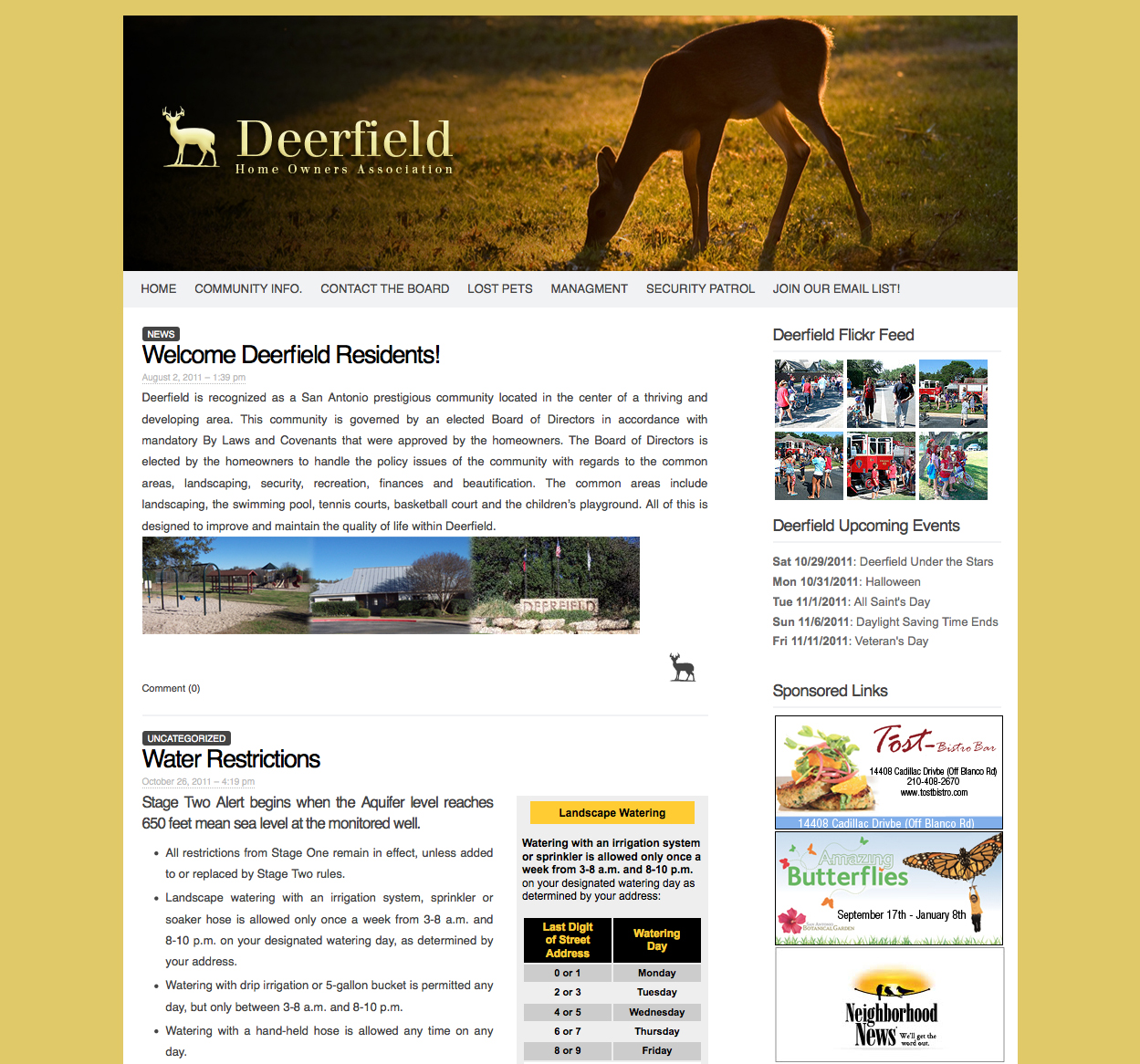 DF_website shot