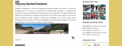 DF_website shot